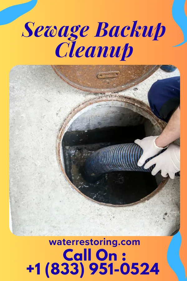 Sewage Backup Cleanup in Catawba, NC