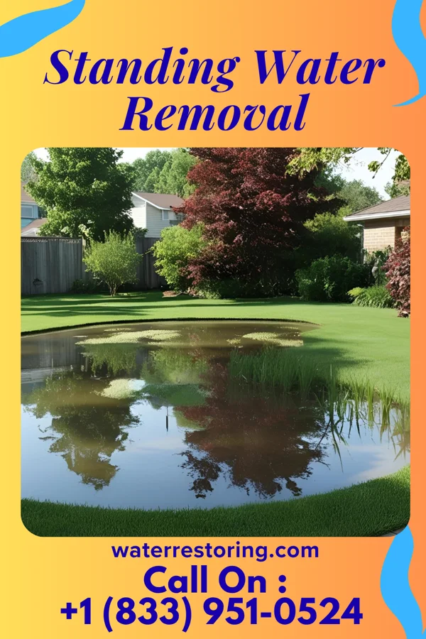 Standing Water Removal in Catawba, NC